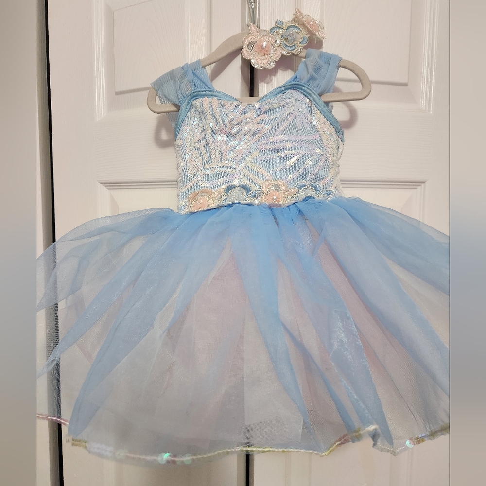 Ballet Costume Pink and Blue